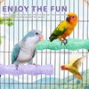 Parrot Perch Calcium Bird Bows, Bird Teeth Mouth Molar Teeth