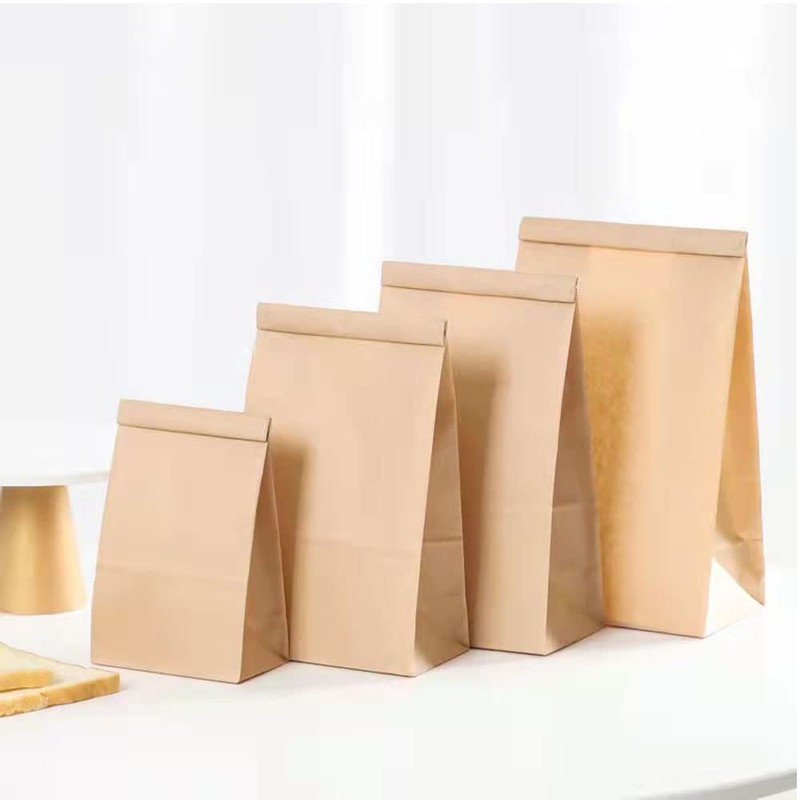 Assist-Box (L/500 Sheets) Courier Paper Bag, Square Bottom Bag, Medium,