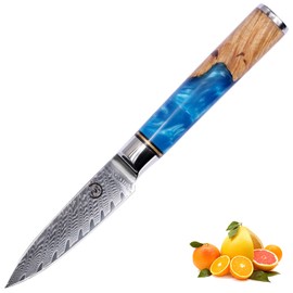 Paring Knife - Fukep 3.5 Inch Damascus Paring Knife Small Fruit Knife Ultra Sharp Damascus VG10 Core Steel with 66 Layers High Carbon Steel Classical Pattern Blue Handle
