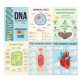 PINKEESEA 6 Science Posters for Classroom Middle School Classroom Must Haves - 10x14in Biology Posters for High School, Biology Decor, Middle School Supplies