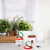 Coloch Set of 10 Insert Bug Viewer for Kids, Magnifying