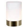 Small Antique Brass Touch Dimmable Table Lamp with Frosted Glass