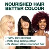 Garnier Nutrisse Permanent Hair Colour 3.6 Crimson Promise