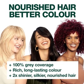 Garnier Nutrisse Permanent Hair Colour 3.6 Crimson Promise