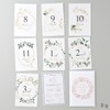 Baby Monthly Cards Green Age Cards