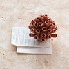 Creative Co-Op Stoneware Coral Shaped Vase with Crackle Glaze, Coral