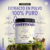 COMMONS Adaptógenos Tulsi 100% Orgánico Suplemento Natural Té de Albahaca