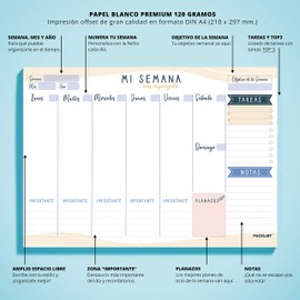 PACKLIST Planner Pack in Spanish Weekly Planner + Monthly Planner Gold and Blue