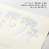Midori 86928006 Letter Set, Flower Washi, Paper Case, White