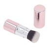 Face Oil Absorbing Roller Double Headed Remove Excess Oil Volcanic