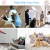 Pointer Pen for Cats Dogs Pet Laser Pointer Cat Toys