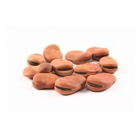 Bulk Herbs: Fava Beans (Mojo Beans)