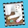 Petmate Interactive Cat Toys - Cat Crazies Multi Pack by