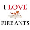 CafePress I Love Fire Ants Rectangle Magnet, 3"x2" Refrigerator Magnet
