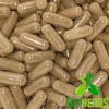 B17 Herbs Argentine Beef Thymus w/Liver Blend - 600mg Grass