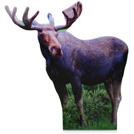 Geelin 5ft Moose Cardboard Cutout Standup Life Size Moose Stand-up Photo Booths Prop with Support Standee Forest Animal Decorations for Woodland Animal Theme Party VBS Wilderness Backdrop Decor