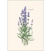 Earth Sky + Water - Lavender Notecard Set - 8