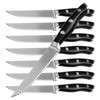 Alata 8-Piece Steak Knives Set, 4.7 Inch with Serrated Edge