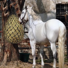 2 Sets Hay Net, Hay Net for Horses, Hay Tight Mesh, Feed Net, Control the Eating Speed, Tight Mesh for Horses Tight Mesh to Reduce Waste of Hay (Black)