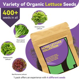 Red Romaine Lettuce Seed Pods for AeroGarden, Ahopegarden, iDOO Hydroponics Growing System Indoor, 400+ Seeds(12-Pods)