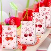 Shes Cherry On the Top Theme Favor Bags Treat Candy