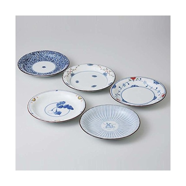 Saikai Pottery Traditional Japanese Blue & white patterns plates (5 plates!) 31989 from Japan