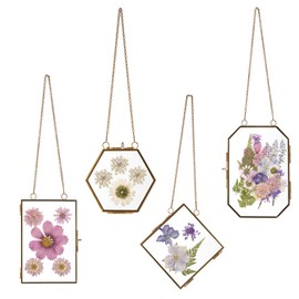 Pressed Flower Glass Picture Frames Hanging Frame Gold Floating Photo Frame Clear Horizontal Vertical Frames with Chain for Gallery Vintage Artwork Display (5 Sets, Dried Flowers Are Not Included)