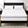 Puzdaz Full Mattress 10 Inch Hybrid Mattress - Medium Firm,