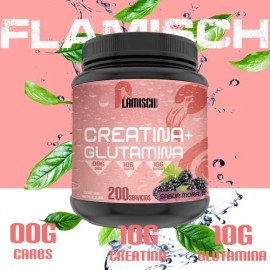 Suplemento Creatina  Glutamina Flamish 1kg 50 Servicios                                                                                               