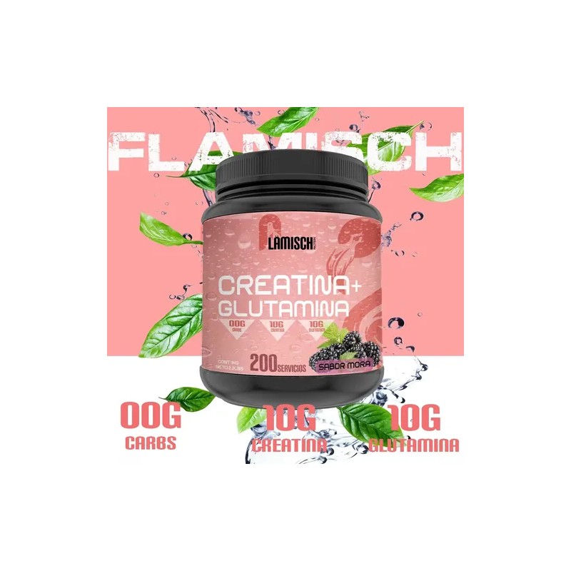 Suplemento Creatina Glutamina Flamish 1kg 50 Servicios
