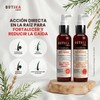 Botika Grisi - Serum Anti-Caída con Nanotecnología, Chile, Ginseng, 125