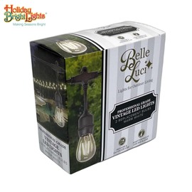 Holiday Bright Lights Belle Luci S14 Replacement Bulbs, 2PC Dimmable Warm White