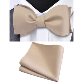 Gusleson Champagne Self Tied Bow Tie Mens Solid Pure Color Wedding Bow tie Pocket Square Set (UK0685-15)