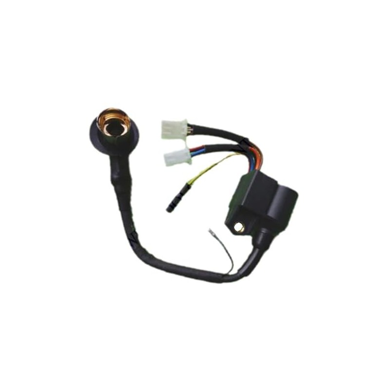 HEPENG Bobina de encendido para Pulsar PG2000iS iPower A-iPower SUA2000i