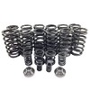 Street Sport Industries Valve Springs & 3K/4K Governor Springs "94-98"