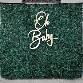 Oh Baby Sign for Baby Shower Backdrop,Baby Showers Decorations for Gender Reveal Parties, Baby's 1st Birthday, and Photo Backdrops | Boy/Girl Decorations and Party Background