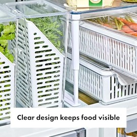 OXO Good Grips Produce Saver - Protector de hierbas                                                                                                   