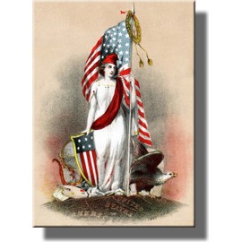 Stars and Stripes Forever American Flag and Eagle Picture on Stretched Canvas Wall Art Décor Framed Ready to Hang!