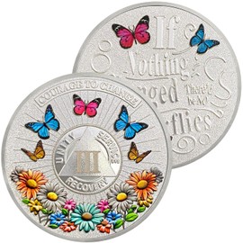 3 Year Sun Chrysanthemum Sobriety Coin Gifts Set | Enamel Coated AA Chip Medallion with Protective Case | Commemorative Token for Men & Women in Recovery | AA Sobriety Gifts Medallion for Year