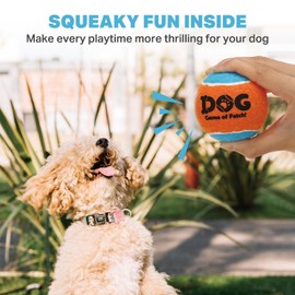 AMA SPORT Squeaky Tennis Balls for Dogs 2.0" Small Dog Tennis Balls for Throwing and Fetching Dog Toys for Training, Exercise, High Bouncing 4 Pack (Orange Light Blue)