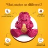 Dogsee Play Extremely Strong Treatoy Pink - Microwaveable Dog Toy