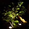 Solar Spot Lights Outdoor, LED Waterproof Pond Light Solar Spotlight