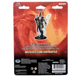 D&D Nolzur's Marvelous Miniatures: Wave 12: Storm Giant