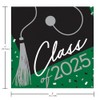 School Spirit Green Class of 2025 Beverage Napkins, 108 Count