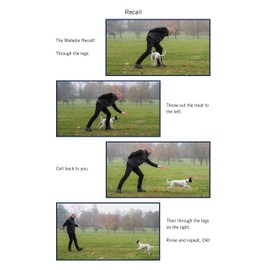 Easy Peasy Puppy Squeezy: Your Simple Step-by-Step Guide to Raising and Training a Happy Puppy