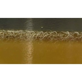 Doris' Eels VINEGAR EELS  LIVE STARTER CULTURE - 1 Fl. Oz. - Thousands Of Eels