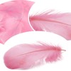 Mbsomnus Feathers for Crafting, 600 Pcs Pink Feathers Natural Craft