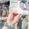 Fahlo Penguin Tracking Bracelet – Track a Real Penguin’s Journey