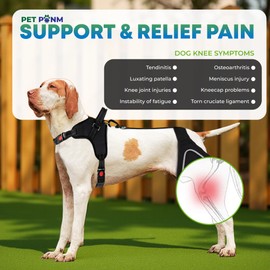 Petpanm - Dog ACL Knee Brace for Back Left Leg - with Integrated Harness - for Cruciate Ligament Injuries, Patellar Luxation, Post-Surgery Recovery. Durable, Breathable Material, Eases Pain - (Large)
