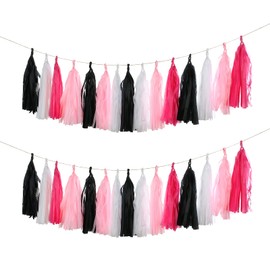 Meetppy 20PCS Hot Pink Black White Tassel Garland Party Decoration, Wedding Bachelorette Birthday Anniversary Party Decorations Backdrop Décor